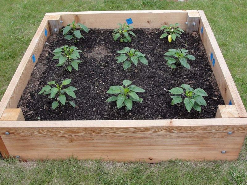 Reaised Beds for your garden