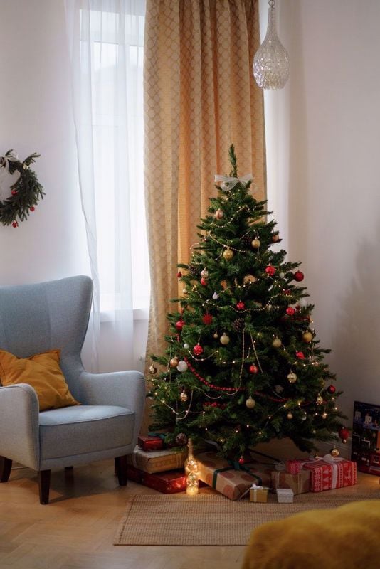 A Brief History of the Christmas Tree, Explained!