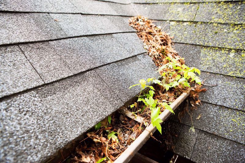 When is fhe right time to clean your Gutters?