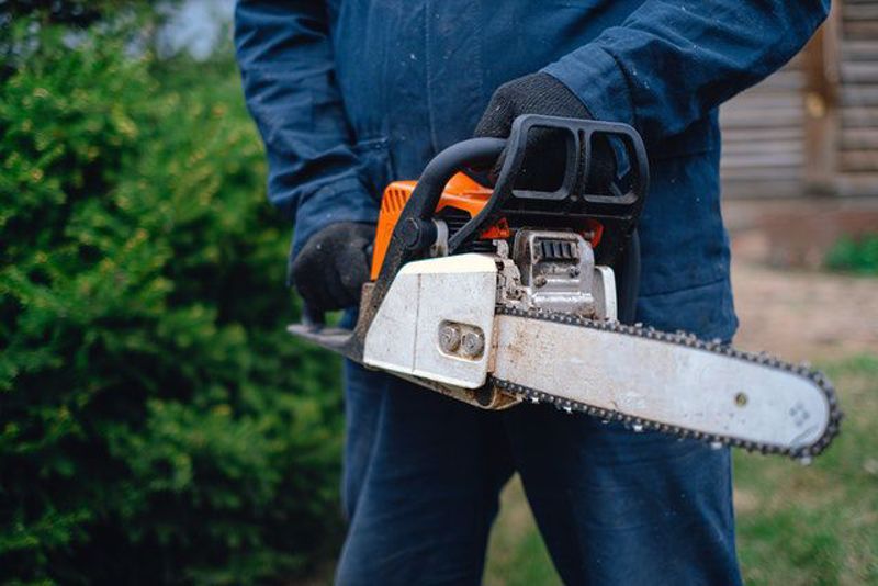 How to choose a chainsaw for use in your Garden