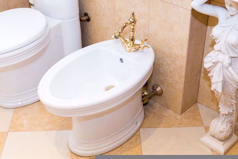 Pros and Cons of a Having a Bidet