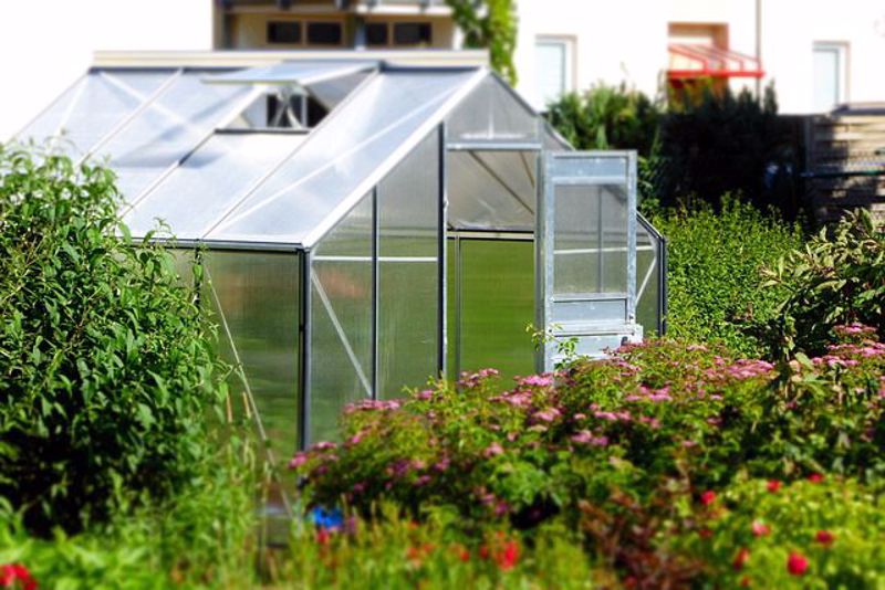 How to Choose a Greenhouse