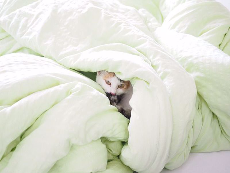How to Choose a Winter Duvet and Bedding