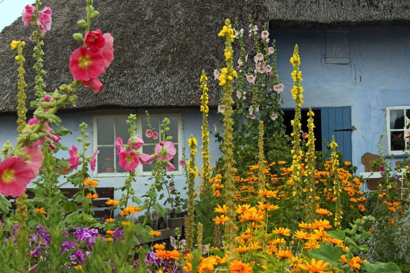 10 Ways to Make Your Garden a Place Family and Friends Will Love  - Part 1