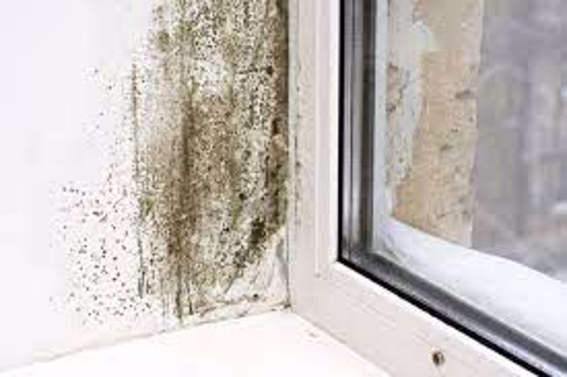 How to Avoid Damp in the Home - Part1