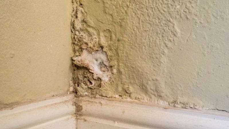How to Avoid Damp in the Home - Part 2