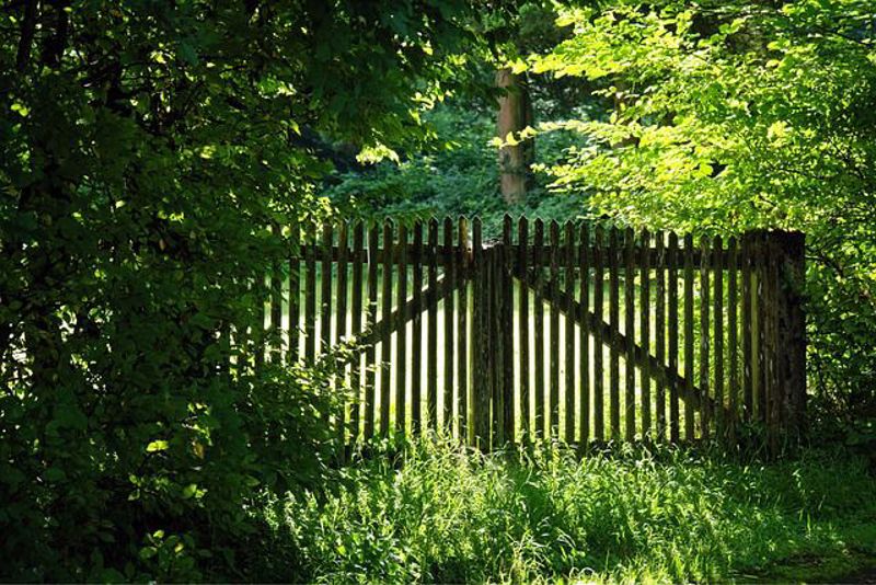 Tips for Choosing the Ideal Garden Fence - Part 1