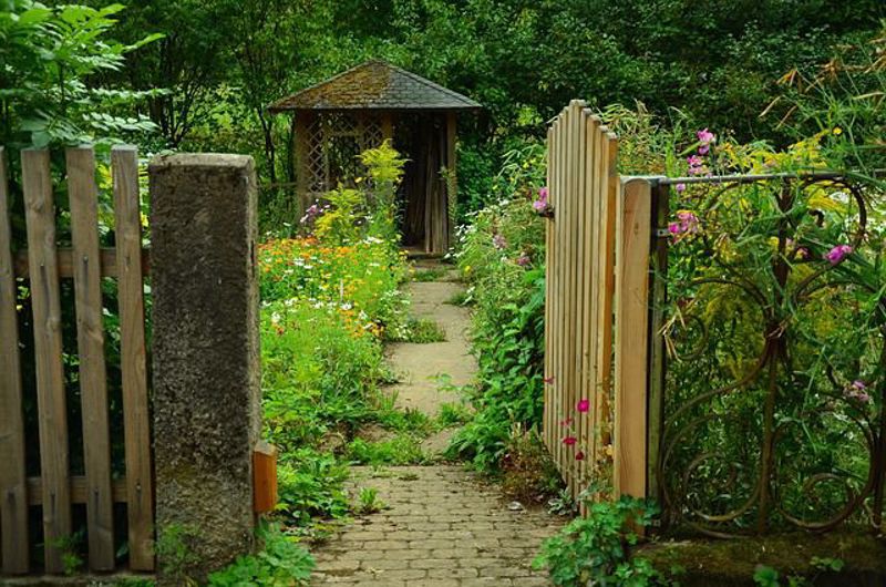 How to Maximise Space in a Small Garden