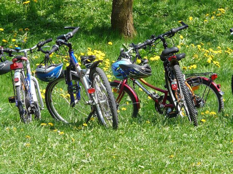 How to Choose the Right Bicycles for your Family - Part 1
