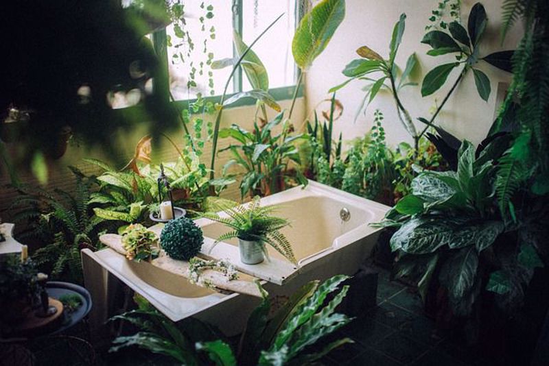 The Art of Indoor Gardening: Creating a Lush Oasis in Your Home