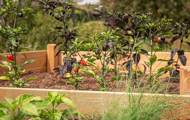 Step-by-Step Guide to Building a Raised Garden Bed - Part 1