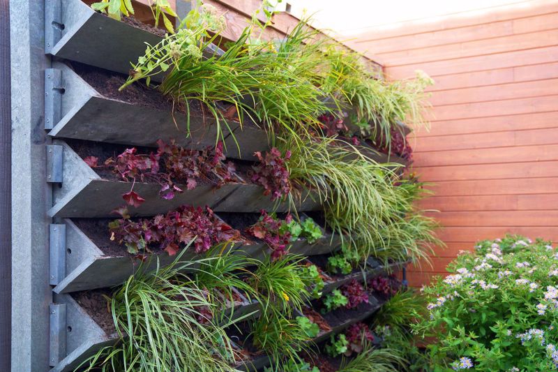 How to Build and Grow a Vertical Garden