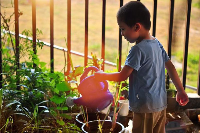 Gardening Checklist for August: Nurturing Your Garden with Home Depot  - Part 2
