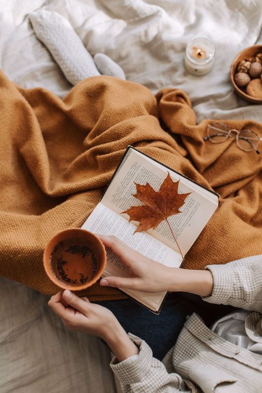 Embracing the Splendor of Fall in Your Home