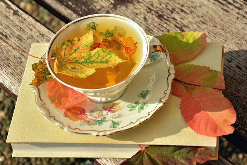 How to Use and Enjoy Your Garden in Fall as We Head into Winter - Part 1