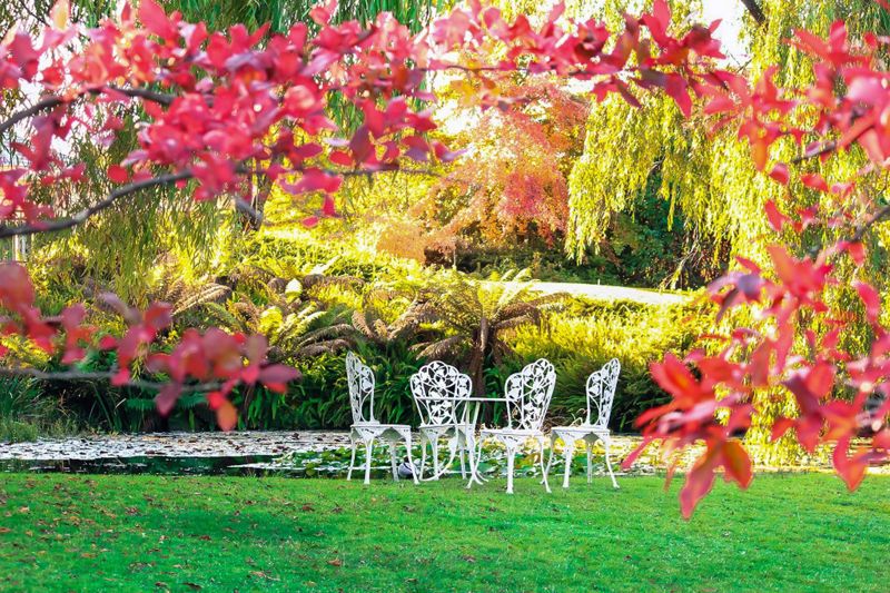 How to Use and Enjoy Your Garden in Fall as We Head into Winter - Part 2